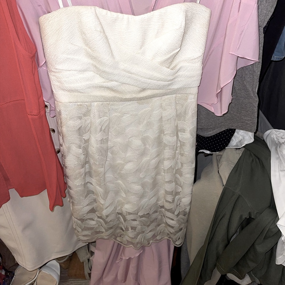 BCBG MaxAzria dress size 6